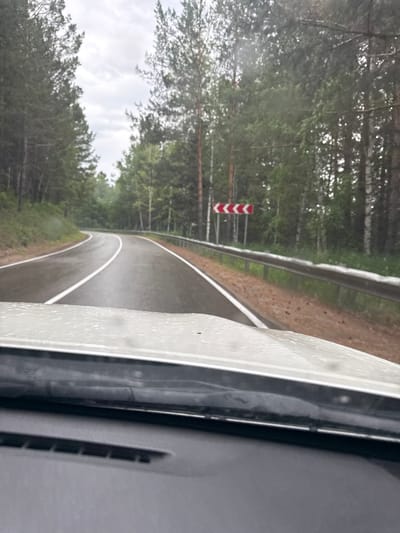 The image depicts a wet, paved road curving through a forest, likely in Savvateevka, Russia, as indicated by the provided context. The road has white lane markings and a metal guardrail along the right side. A red and white chevron sign, indicating a curve to the left, is visible on the right side of the road. The forest consists of tall evergreen trees, with some birch trees interspersed. The sky is overcast and cloudy. The foreground shows the hood of a vehicle, suggesting the image was taken from inside a car. The road surface appears wet, possibly from rain, and water droplets are visible on the vehicle's hood.