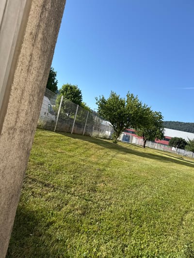 The image captures a sunny outdoor scene on the grounds of a building in Bad Säckingen, Germany. In the foreground, a portion of a rough-textured, light-colored wall is visible on the left, angled away from the viewer. The ground is covered in a lush green lawn, with grass varying in length and shade. A metal fence with diamond-shaped mesh runs horizontally across the middle ground, separating the lawn from what appears to be a courtyard or outdoor area.

Beyond the fence, two deciduous trees with full green canopies are prominent. In the background, a large building with a predominantly red facade and a white roof is situated. Some blue structures, possibly swimming pools or water features, are visible in front of this building. Further in the distance, a wooded hillside rises against a clear blue sky. A white van is partially visible behind the fence in the left portion of the frame. The overall impression is that of a well-maintained institutional or commercial property.