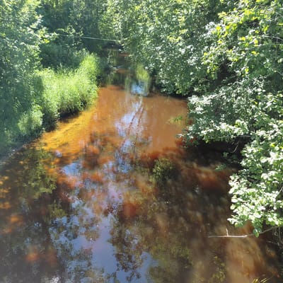 The image shows a narrow, brown-water stream flowing through a densely wooded area. The banks of the stream are lined with green grass and lush foliage from trees that overhang the water. Sunlight filters through the leaves, creating dappled patterns on the surface of the water and the surrounding vegetation. Reflections of the trees and sky are visible in the water, adding to the natural, serene atmosphere. A thin, light-colored wire is stretched across the stream in the background, possibly part of a fence or a guide for something. The overall impression is one of a natural, undisturbed waterway in a rural or forested setting. The specific location in Skuķīši, Latvia, is not visually evident from the image itself, but the description implies a context within that region. There are no people or animals visible in the frame.