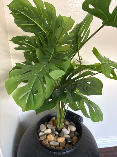 An indoor, overhead shot captures an artificial Monstera plant displayed on a white surface against a white, textured wall. The plant features numerous large, vibrant green leaves with characteristic fenestrations (holes and splits), mimicking a real Monstera deliciosa. The leaves appear to be made of plastic or silk, with visible veins.
The base of the plant's stems is inserted into a black, semi-circular or oval-shaped planter, which is lying on its side. The planter has a textured, ribbed surface. Its opening is filled with an assortment of smooth, polished pebbles in various natural shades of light tan, grey, and white, securing the plant in place.
The white surface beneath the planter and plant reflects ambient light, suggesting a countertop or shelf. The wall behind the plant is uniformly white and has a subtle, bumpy texture, possibly stucco or a patterned wall covering. No specific activity is occurring, and there are no people or visible text in the frame. The scene presents a static decorative arrangement, likely within a home or office setting in Seal Beach, United States of America.