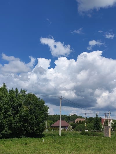 The image shows a rural landscape under a bright blue sky with fluffy white clouds. A large, lush green tree dominates the left side of the frame. In the background, there are several houses with brown roofs, surrounded by dense green foliage and trees. Electrical poles with wires are visible in the mid-ground, stretching across the scene. A grassy field with some small plants and a fence is in the foreground. The scene appears to be located in the village of Skurygino, Russia, a typical countryside setting. There are no people or animals visible in the image.