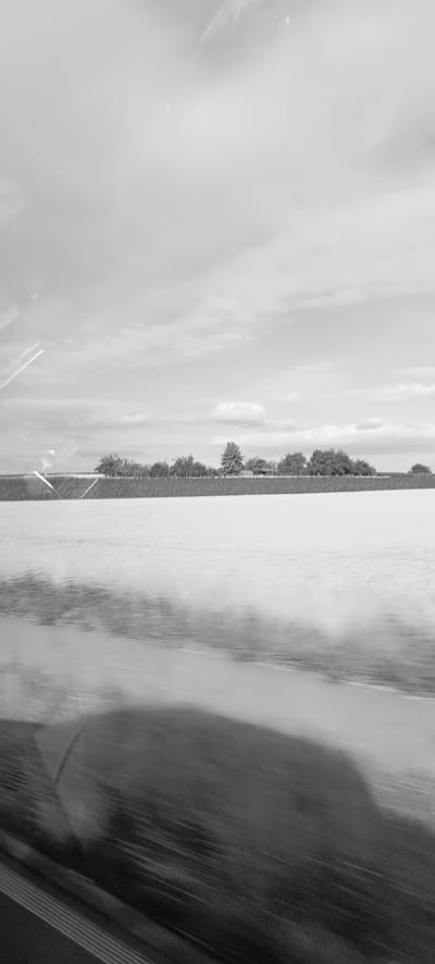 This is a black and white, slightly blurry, outdoor photograph. The image depicts a wide body of water in the foreground, reflecting the sky and trees. In the middle ground, there is a line of trees and vegetation, with a building visible amongst them. The background is dominated by a cloudy sky. The water appears to be calm, with gentle ripples. The overall impression is one of a rural or semi-rural landscape. The location is identified as Schwaikheim, Germany, and the image likely captures a view from the Rems river or a similar body of water within or near the town. The motion blur suggests the photo was taken from a moving vehicle or person.