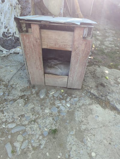 A wooden dog house with a metal roof sits on rocky ground in Pkhvenisi, Georgia. The dog house is weathered and appears to be partially constructed from reclaimed wood. Inside the dog house, a white fabric or blanket is visible. The surrounding environment includes loose stones, dirt, and some patches of dry grass. In the background, there are hints of other structures and possibly a broom leaning against something, suggesting a rural or backyard setting. The image is taken in daylight, with sunlight creating lens flare and highlighting textures.