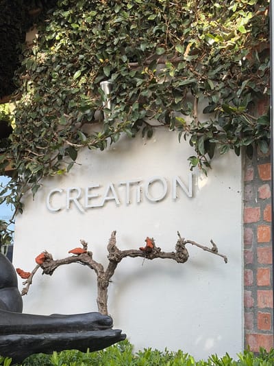 In Theewaterskloof Nu, South Africa, a white wall serves as a backdrop for the word "CREATION" in large, white, sans-serif letters. Above the letters, a dense covering of green ivy with visible branches cascades down the wall. To the left of the word, a dark, abstract sculpture featuring a hand and foot is partially visible, resting on a base that extends into lush green bushes. A bare, gnarled tree branch, adorned with small, bright orange decorative elements, extends horizontally from the left, across the wall in front of the sculpture and the word. To the right of the word, a section of brickwork with varying shades of orange and grey adds a textural contrast to the smooth white wall. The lighting suggests it is daytime, with sunlight casting subtle shadows.