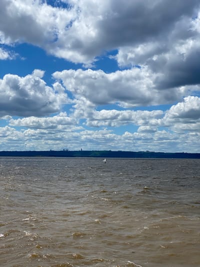 The image shows a wide body of water with choppy waves under a partially cloudy sky. In the distance, a dark, tree-lined shore is visible with a faint silhouette of a city skyline. A single bird is captured in mid-flight over the water, positioned slightly left of the center. The sky is a vibrant blue with scattered white and grey cumulus clouds, some appearing dense and shadowed. The water has a murky, brown-green hue and reflects the light, creating bright highlights on the wave crests. The overall impression is of a breezy day with a cityscape in the background.
