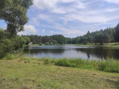The image depicts a serene natural landscape surrounding a body of water, likely a lake, situated in the area of Litvenski Sel'ski Sovet, Belarus. The foreground is dominated by a grassy meadow, with patches of recently mown grass and taller, wilder green vegetation closer to the water's edge. A large tree with dense green foliage is prominent on the left side of the frame, casting shadows on the grass.
Across the water, the opposite bank is densely lined with a variety of trees, forming a natural forest that extends into the distance. Among the trees, several small buildings are visible, suggesting human habitation or perhaps agricultural structures. The water itself is calm, reflecting the blue sky and the surrounding greenery. The sky above is a clear blue, with scattered white, wispy clouds. The overall impression is one of a tranquil rural or natural setting.