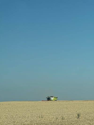 The image showcases a vast, golden wheat field under a clear blue sky. A combine harvester, predominantly green and white, is positioned within the field. The sky takes up a significant portion of the image, creating a sense of open space. The perspective is slightly angled, giving a dynamic feel to the agricultural scene. The overall impression is one of harvest time on a large-scale farm.