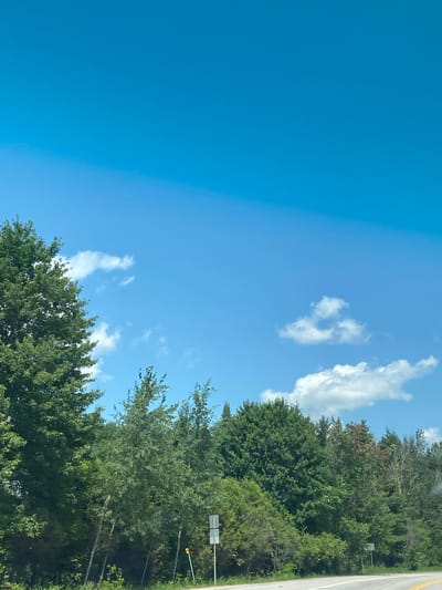 The image depicts a roadside scene with a clear blue sky above. The foreground is dominated by a dense line of trees and vegetation, with various shades of green foliage. A paved road curves into the distance on the right side of the frame. Several road signs are visible along the side of the road. In the distance, hills covered in trees are faintly visible. The sky is a vibrant blue with a few scattered white clouds. The overall scene suggests a rural or semi-rural environment, possibly in a forested area. The location is identified as Saint-André-Avellin, Canada.