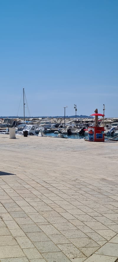 This is a vertical, low-angle outdoor shot of a marina in Fažana, Croatia. The bright blue sky fills the left side of the frame, while the right side is dominated by a light-colored stone walkway with a tiled pattern.
The central focus is the marina itself, with numerous boats docked in the water. The boats are varied in size and design, with some appearing to be fishing vessels and others more leisure-oriented. Several boats have masts, indicating sailing capabilities. The water in the marina is a deep blue.
In the mid-ground, a distinctive red structure with windows and what appears to be signage is prominent. The text "fazana-semis-submarne.com" is visible on this structure. There are also lights and poles lining the marina.
The scene is bathed in sunlight, suggesting a clear and sunny day. The time of day appears to be daytime, likely mid-morning or afternoon, given the intensity of the sunlight and the clear sky. The overall atmosphere is serene and peaceful, indicative of a typical day at a coastal town. There are no people clearly visible in the frame. The location is clearly identified as Općina Fažana, Croatia, which is a coastal municipality in the Istria County.