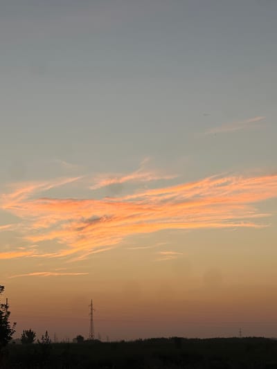 The image depicts a dusky sky with wispy, orange-tinted clouds streaking across a pale blue expanse. Below the sky, a dark, silhouetted landscape of trees and fields stretches across the horizon. Several tall, skeletal power line towers are visible, spaced out across the landscape. The foreground is filled with dark foliage, obscuring the ground. The scene suggests a rural or semi-rural setting, possibly on the outskirts of a city like Дачное, Kyrgyzstan, where remnants of industrial infrastructure are juxtaposed with the natural beauty of the sunset. The lighting is soft and diffused, characteristic of twilight. There are no people or animals visible in the image.