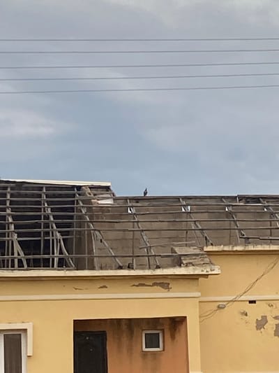 A single bird stands on the exposed wooden beams of a partially constructed or damaged roof in Dumnga, Nigeria. The building below is painted a pale yellow and appears to have some peeling paint. Electrical wires run horizontally across the top of the frame. The sky is overcast.
