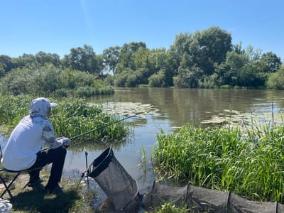 In Tumutuk, Russia, on a bright, clear day, a person sits on a folding chair by a wide, calm river, engaged in fishing. The individual, wearing a white hooded sun shirt with a camouflage pattern on the sleeves and hood, dark pants, and a white baseball cap, holds a fishing rod that extends over the water. Two black mesh fishing nets are partially submerged in the water near the bank, one in the foreground and another slightly further back. Lush green reeds and water lilies line the riverbank, creating a vibrant natural setting. The river reflects the clear blue sky and the dense foliage of trees that form a natural barrier along the opposite bank, creating a peaceful, idyllic scene.