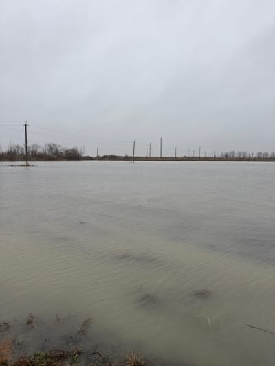 The image displays a wide-angle view of an extensively flooded landscape in Kurjan, Uzbekistan, under a uniformly overcast and grey sky. A large expanse of murky, light brown-grey water dominates the foreground and midground, with faint ripples visible across its surface. Multiple wooden utility poles, each supporting several horizontal wires, are partially submerged within this water, extending diagonally from the left midground towards the distant right horizon. The extreme foreground on the left shows a narrow strip of exposed, dry, matted vegetation and soil at the immediate water's edge. In the background, a distinct line of land is visible beyond the water, characterized by sparse, bare trees or shrubs and several mounds of darker earth or debris. Additional utility poles continue their line across this land strip into the distance. No individuals, animals, or active objects are present within the frame.