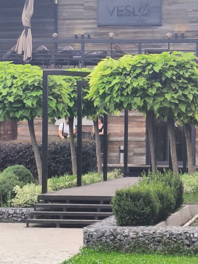 In Komsomolskoe, Kyrgyzstan, an outdoor scene unfolds featuring a building with horizontal wooden siding and a dark-colored sign that reads "VESLO". In front of the building, several trees with rounded, leafy canopies are visible. A dark-colored railing separates the building area from a wooden walkway with black steps leading down to a paved area. Several people are present, one wearing a white t-shirt and another in a dark top, standing near the walkway. The foreground of the image is filled with manicured bushes and gabion walls constructed with stones. The overall ambiance suggests a commercial or recreational outdoor space.
