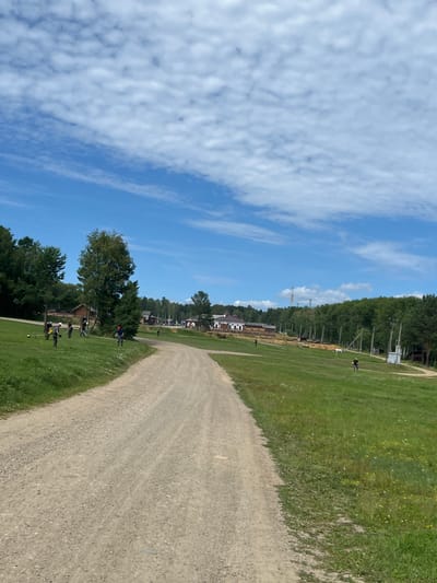 The image depicts an outdoor scene on a sunny day with a partly cloudy sky, taken at the Irkutsk Architectural-Ethnographic Museum (Taltsy) in Russia. A dirt road curves through a grassy field on the left, with a line of trees bordering the field further back. Several people are visible on the grass, some operating string trimmers, suggesting grounds maintenance. In the background, there are wooden buildings, characteristic of the museum's historical architecture, and a dense forest. Power lines and poles are also present in the middle ground and background. A few horses are also visible in the distance. The overall impression is one of a rural, historical outdoor setting undergoing upkeep.