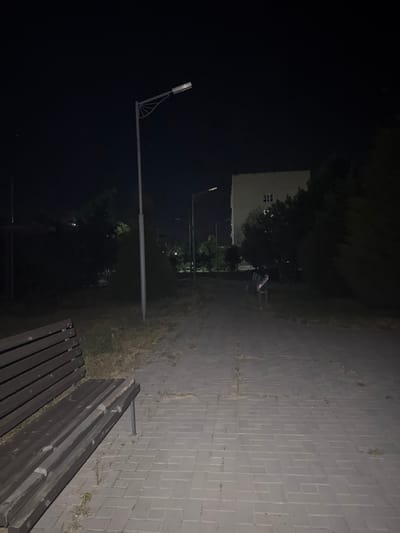 The image depicts an outdoor scene at night, likely in a park or public area, with a paved walkway in the foreground. A wooden bench is visible on the left side of the walkway. In the background, a building with illuminated windows can be seen, along with trees and streetlights. The scene suggests a quiet, dimly lit environment. No people are present in the image. The specific location within Egorlykskaya, Russia, cannot be determined from the visual information provided.