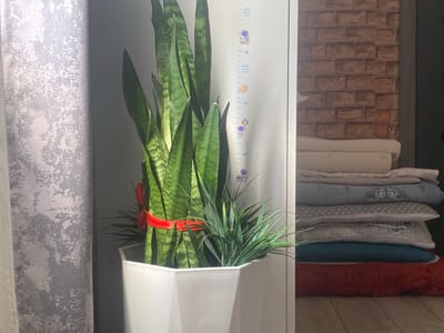 A snake plant in a white hexagonal pot is positioned in the foreground, partially obscured by a gray, textured curtain on the left. The plant is adorned with a bright red ribbon tied around its stalks. To the right of the plant, a white wall features a height chart with cartoon astronaut and planet stickers. Further to the right, a stack of folded bedding items, including pillows and blankets in various shades of blue, gray, and red, rests against a brick-patterned wall. The lighting suggests an indoor environment, possibly a room in a residential building in Keŋeş, Kyrgyzstan, with light casting shadows from the left.