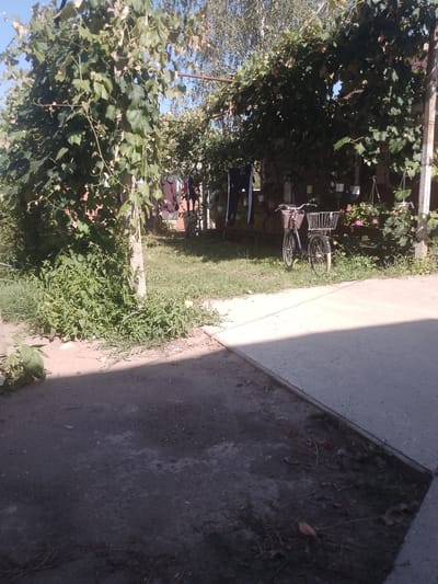 The image depicts a daytime scene in what is identified as the city of Fanchykovo, Ukraine. In the foreground, a paved path is visible, transitioning to a grassy area where a bicycle with two baskets is parked. The bicycle is dark in color and appears to be a women's model. Behind the bicycle, a fence and a structure covered in green foliage, likely grapevines, dominate the background. Clothes are hanging on a clothesline suspended between posts, suggesting domestic activity. Several potted plants are also visible. The overall impression is that of a backyard or a communal area in a residential setting, under a clear sky.