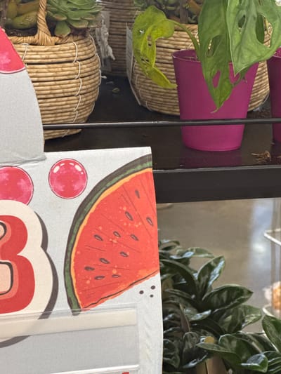 The image shows a close-up view of a display shelf in a retail environment. On the top shelf, several potted plants are visible. One plant is in a woven basket with succulents, and another is in a bright pink pot with a plant featuring large, perforated leaves. A third pink pot is partially visible. The second shelf is where the main subject of the image is located. It appears to be a sign or display for a product, featuring a large red number "3" and a graphic of a watermelon slice. There are also two red circular elements that resemble cherries or bubbles. A clear plastic holder is attached to the bottom of this display. Below the second shelf, a lush green houseplant with broad leaves is visible. The background is blurred, suggesting an indoor setting with diffused lighting. The scene is entirely devoid of people and any identifiable urban or natural landscape elements associated with Rozhdestvenskaya, Russia.