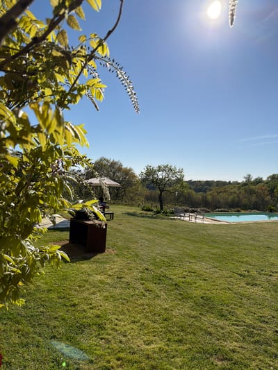 The image depicts a sunny outdoor scene in Mauléon-d'Armagnac, France, featuring a well-maintained grassy lawn. A swimming pool is visible along the edge of the lawn. A wooden structure resembling a small outdoor kitchen or bar is situated near the foreground. A flowering tree or bush occupies the foreground, with its leaves and blossoms partially obscuring the view. In the background, a line of trees defines the horizon. The sky is clear and blue. A bench is visible near the line of trees and the pool.