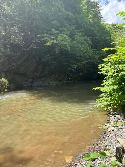 The image depicts a river flowing through a lush, green natural environment, likely in the vicinity of Lukovo, Bulgaria. The river's water has a murky, greenish-brown hue, with visible ripples and some sediment near the shore. The riverbanks are a mixture of rocky terrain and dense vegetation. On the left side of the image, a steep, rocky cliff face rises, partially covered in greenery. On the right side, a dense cluster of vibrant green leaves from a tree or shrub overhangs the water. The background is dominated by a thick canopy of trees, creating a shaded, forest-like atmosphere. The sky above is partly cloudy, with patches of blue visible through the foliage. A person's foot wearing a black and white sneaker is visible in the bottom right corner, indicating a human presence at the scene. The overall impression is one of a natural, somewhat wild setting along a river.