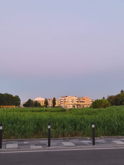 The image captures a view of urban development encroaching on a natural landscape in San Salvo, Italy. In the foreground, a paved sidewalk with a gray and white pattern runs parallel to a dark asphalt road. Black bollards with white reflective bands are spaced along the edge of the sidewalk, bordering a vibrant green field of tall grass or crops.
Beyond the field, a line of trees forms a natural buffer. Behind the trees, several multi-story apartment buildings are visible, characterized by their light-colored facades and balconies. The sky above is a soft gradient of pale purple and pink, indicative of either dawn or dusk. No people or vehicles are clearly discernible in the image. The overall impression is one of a developing area where residential buildings are situated close to undeveloped green spaces.