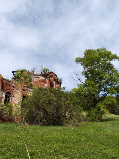 The image depicts a dilapidated brick building, likely a church, located in Крынды, Russia. The structure is overgrown with vegetation, including trees and shrubs sprouting from the walls and roof. The building's brick facade is weathered and crumbling, revealing signs of disrepair and abandonment. The sky is visible overhead, featuring scattered clouds. In the foreground, there is a grassy field with various plants and vegetation. A large tree stands to the right of the building, adding to the overall impression of nature reclaiming the abandoned structure. There are no people present in the scene.