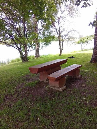 In Šaukėnai, Lithuania, an outdoor scene is depicted. Two rustic wooden benches, crafted from substantial logs, are positioned on a grassy slope leading down to a body of water. The larger bench is situated behind and slightly to the left of the smaller one, with both facing the water. The benches are supported by split logs resting on concrete blocks. In the background, a campfire pit with burnt wood is visible on the grass, beyond which trees and the bright sky dominate the scene. The environment suggests a recreational area, likely near a lake or river, given the presence of water and the seating arrangements.