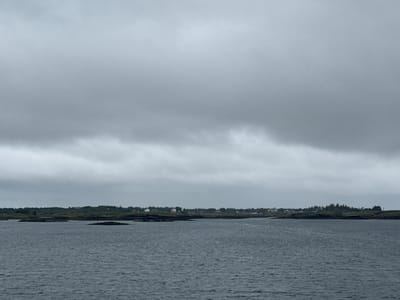 The image depicts a calm, dark body of water with a slightly choppy surface, reflecting the overcast sky. In the distance, a low-lying island or coastline is visible, characterized by dark, rocky outcrops interspersed with green vegetation. A scattering of small houses, some white and others with red roofs, are nestled among the trees on the higher ground of the island. The sky is a uniform, pale gray, heavily clouded, suggesting a cool, possibly rainy day. The overall atmosphere is one of muted natural beauty and quiet habitation. This scene is consistent with the coastal landscape of Sleneset, Norway, known for its scattered islands and maritime environment.