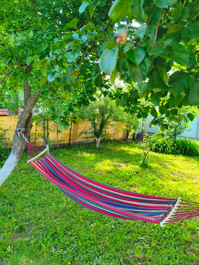 The image shows a hammock hanging between two trees in a yard. The hammock is made of striped fabric in shades of red, blue, and green. It is suspended over a lush green lawn, with dappled sunlight filtering through the leaves of the trees above. In the background, a yellow wall and a fence can be seen. The scene appears to be a peaceful, private outdoor space. The location is in the village of Munayka, Russia.