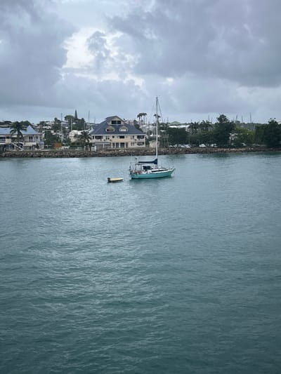 A teal sailboat is anchored in the turquoise waters of a harbor. Behind the sailboat, the coastline features a rocky shore with buildings and palm trees. The sky above is overcast with gray clouds. A small yellow dinghy is moored next to the sailboat. The location is the city of Pointe-à-Pitre, France.