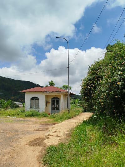 The image depicts a small, weathered, white building with a red tiled roof, situated in a rural setting in Xuân Sơn, Vietnam. The building has arched windows with a greenish-blue trim and a double-door entrance with similar trim. A single, dark grey lamppost stands beside the building. A dirt road curves away from the foreground, leading past the building and disappearing around a dense, green bush laden with small, colorful flowers. The surrounding vegetation is lush and overgrown, with tall grasses and wild flowers. In the background, a dark green, forested hill rises under a partly cloudy sky with bright blue patches. Power lines are visible against the sky. The ground appears damp in places, with tire tracks visible on the dirt road.