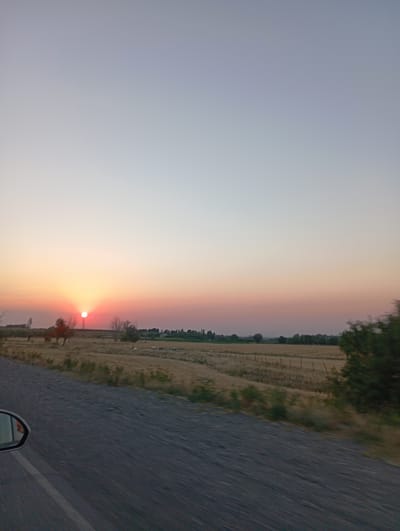A serene sunset scene unfolds over a rural landscape, likely near the village of Садырбай, Kyrgyzstan. The sky transitions from a pale blue at the top to a gradient of soft pinks and oranges as it approaches the horizon, where the sun is a small, bright disc peeking through the atmospheric hues. The sun is positioned slightly left of the center of the frame.
Below the sky, a vast, dry field of crops, possibly wheat or barley, stretches across the middle ground. The field is a muted golden-brown, indicating it's either harvested or in the process of drying. Scattered throughout the field are a few bare trees with dark branches and small patches of green foliage, suggesting the end of summer or early autumn. A simple wire fence with occasional wooden posts runs horizontally across the field, delineating sections of the land. In the distance, a line of trees forms a darker silhouette against the lighter sky, with a few indistinct structures or buildings visible amongst them. To the far right, a dense, dark green tree stands prominently, slightly blurred due to motion.
In the foreground, the edge of a paved road is visible, with a gravelly shoulder running alongside it. The perspective suggests the photograph was taken from inside a moving vehicle, as evidenced by the reflection in the side-view mirror on the left of the frame, which shows a hint of a person and the interior of a car. The road itself appears dark gray and slightly textured. The overall impression is one of peaceful twilight travel through a rural agricultural area.