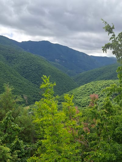 The image depicts a dense, verdant mountainous landscape under a cloudy sky. The foreground is filled with various trees and foliage, displaying different shades of green and some pinkish-red flowering plants. The middle ground and background are characterized by rolling hills covered in thick, lush green forestation, with deep valleys carved between them. The distant mountain ranges are layered, with the furthest peaks appearing in darker shades of blue-green. The overall impression is of a natural, wild environment, possibly in a rural or mountainous region. The location is identified as the city of Ksani, Georgia.