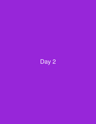The image displays a uniform, solid purple background. Centered horizontally and vertically on this background is the text "Day 2" rendered in white, sans-serif font. No individuals, physical objects, actions, interactions, or discernible real-world environment are depicted. The image contains no visual information to identify a geographical location, including any specific city such as Niš, Serbia.