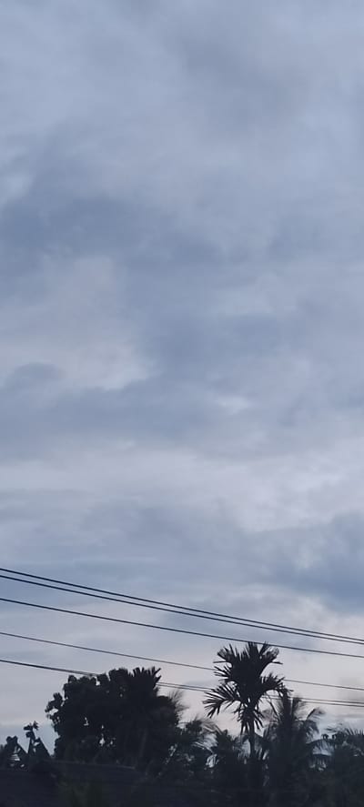 The image displays an overcast sky dominated by soft, diffuse grey and light blue clouds, suggesting either an early morning, late evening, or a heavily clouded daytime. The upper two-thirds of the frame are filled with these varied cloud formations, exhibiting subtle differences in tone and density.

Below the cloudscape, two prominent dark power lines or utility cables stretch horizontally across the mid-ground, running parallel to each other. In the bottom section, the silhouettes of several trees are visible against the lighter sky, appearing dark due to backlighting. Among these are distinct palm trees with their characteristic fronds, and other leafy trees, indicating a tropical environment consistent with the location context of Meunasahmee, Indonesia. A dark, undefined shape, possibly a rooftop or dense foliage, occupies the very bottom edge of the image.

There is no discernible activity or specific event taking place, and no people are visible. The scene evokes a quiet, somewhat subdued atmosphere under the cloudy sky. There is no visible text in the image.