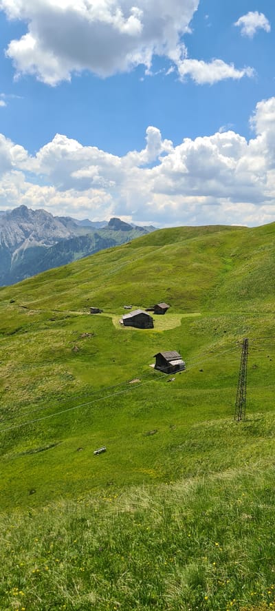 This is a landscape photograph taken in the vicinity of Sëlva, Italy. The image depicts a lush green mountain slope dotted with several wooden cabins. In the background, a range of majestic mountains, partially covered in snow, stretches across the horizon under a partly cloudy sky. A metal pylon with power lines traverses the middle ground of the image. The foreground is dominated by tall green grass with scattered yellow flowers. There are no people visible in the image.