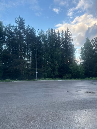 The image depicts an outdoor scene, likely in Chernovskoye, Russia, featuring a paved surface in the foreground that appears to be wet, suggesting recent rain or moisture. This surface transitions into a grassy verge and then a dense line of coniferous trees. The trees form a dark backdrop against a sky with scattered clouds. A tall, slender street lamp stands vertically in the middle ground, positioned in front of the trees. The sky above displays a gradient of blue with patches of white and grey clouds, some of which are illuminated by sunlight, indicating a time of day when the sun is either rising or setting. No people or discernible animals are present in the frame. The overall atmosphere is serene and natural, with the man-made elements of the pavement and street lamp contrasting with the surrounding greenery and sky.