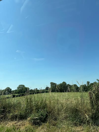 The image depicts a pastoral landscape under a clear blue sky. In the foreground, tall, dry grasses and other vegetation are prominently featured. Beyond this, a lush green field stretches out, bordered by a line of dense trees. A wooden fence post is visible on the right side of the frame, partially obscured by the vegetation. The overall scene conveys a rural setting, likely in the countryside surrounding Rathvilly, Ireland, on a bright, sunny day.
