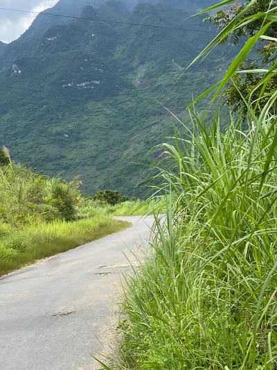 This is an outdoor, medium shot, eye-level, vertical photograph of a rural paved road winding through a lush, green mountainous landscape in Lùng Tám Commune, Vietnam. In the foreground, tall, vibrant green grass and reeds line the right side of the road, obscuring some of the view. The road itself is gray asphalt, showing signs of wear with several potholes visible. A small, triangular warning sign with a red and white striped pole is planted in the grass on the left side of the road. Beyond the road, the landscape slopes upwards into a steep, heavily forested mountain. The mountain is covered in dense green foliage, with visible rock formations and patches of lighter green, indicating areas of thinner vegetation or exposed rock. The sky above is overcast with a light gray hue. The overall scene evokes a sense of natural beauty and remoteness.