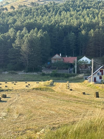 In Kopito, Montenegro, a rural landscape is depicted with a field of harvested hay bales in the foreground. The field is dry and golden, with scattered square bales of hay. Behind the field, a dense forest of coniferous trees covers a hillside that rises towards the top of the frame. Nestled among the trees are several residential buildings. One building, with a red tile roof, has a small white chimney. To its right, a white house with a dark roof features a porch. Further to the right and lower, a smaller white house with red shutters and a satellite dish is visible. The overall scene suggests a remote, possibly agricultural, setting.