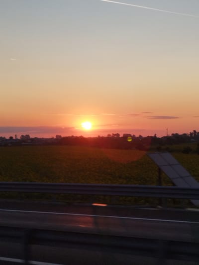 A vertical, outdoor, medium shot captures a sunset over a rural landscape, likely in Dârvari, Romania. The sky transitions from a soft blue at the top to a vibrant orange and pink near the horizon, with a faint white contrail visible in the upper portion. The sun, a bright orb, is positioned slightly to the left of the center, partially obscured by a thin band of clouds. Below the sky is a vast field of yellow sunflowers, suggesting a cultivated agricultural area. A dark line of trees forms a silhouette against the sunset, with hints of buildings and possibly a tower or industrial structure visible within this treeline. In the foreground, a highway barrier and the road itself are visible, with the road surface reflecting the warm hues of the sunset. A large, angled solar panel is situated to the right of the frame, partially obscuring the field and treeline. The overall impression is one of a serene, natural scene at dusk, with signs of human activity in the form of agriculture and renewable energy infrastructure.