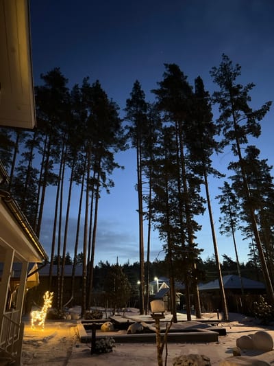 Tall, slender trees dominate the scene, their silhouettes stark against a blue-tinged sky. Snow covers the ground, illuminated by soft light. A building with a sloped roof is visible at the bottom, alongside a glowing reindeer decoration. Gravestones and snowy landscaping are also present.