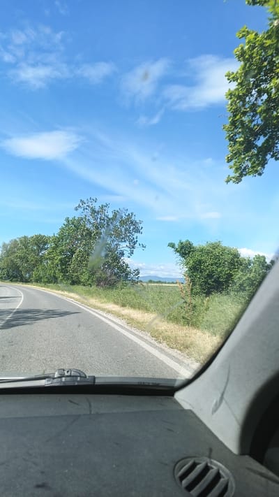 The image shows a view from inside a vehicle, likely a car, traveling on an asphalt road. The road curves slightly to the left. On the left side of the road is a line of trees and vegetation. On the right side, there is a mix of vegetation and a field. In the distance, faint mountains are visible. The sky is blue with scattered clouds. The dashboard of the vehicle is visible in the foreground and appears dusty. Based on the geolocation, it appears the image was taken in or near Seltsi, Bulgaria, as it aligns with the rural landscape and vegetation.