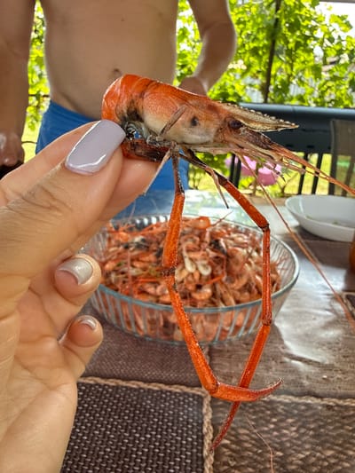A person holds a large, cooked shrimp with orange shell and long legs in their left hand. The shrimp is positioned in front of a glass bowl filled with many smaller, cooked shrimp. The setting appears to be outdoors, with green foliage and a fence visible in the background. A table covered with a textured cloth is in the foreground. The image was captured in Serhiivka, Ukraine.