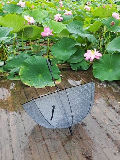 An open, gray umbrella lies on a wet wooden boardwalk. The umbrella is partially covered in a small, tessellated pattern. In the background, a lush expanse of lotus plants with large green leaves and pink blossoms fills a body of water. The scene appears to be outdoors, likely in a park or garden.