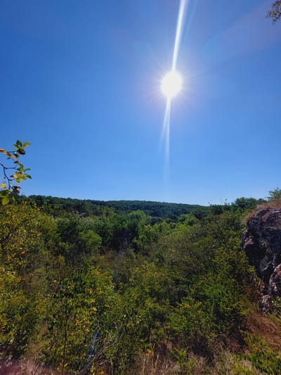 The image depicts a sun-drenched landscape of Tuchenitsa, Bulgaria, dominated by a clear blue sky and lush green foliage. The sun is positioned high in the sky, emitting bright rays that create a lens flare effect. Below the sky, a dense forest stretches across the horizon, its various shades of green indicating a variety of trees and vegetation. In the foreground, the perspective shifts to a rocky outcrop on the right, with dry grasses and some branches of trees in the lower portion of the frame. The scene is bathed in bright sunlight, suggesting a warm, clear day. There are no people or animals visible in the image.