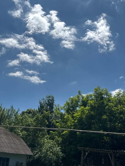 This image depicts a clear, bright blue sky with scattered white cumulus clouds. A thin, dark electrical wire stretches diagonally across the upper portion of the frame. In the sky, two small, dark shapes, likely birds, are visible, one near the center and another to the left. Below the sky, a dense line of lush green trees forms a natural barrier, with the tops of some trees reaching towards the sky. In the lower left corner, a portion of a rustic building with a corrugated metal roof is visible. The building appears weathered, with visible window frames. To the right of the building, a simple wooden structure with a similar corrugated roof is partially visible. The overall scene suggests an outdoor, rural setting. The image was taken in Vybudiv, Ukraine.