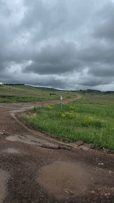 The image depicts a rural landscape under a heavily overcast sky in Кама-Исмагилово, Russia. A brown, unpaved dirt road, characterized by significant ruts and several large muddy puddles, extends from the lower left foreground, curves right, then turns sharply left into the mid-ground, disappearing around a bend. Green grassy fields, interspersed with patches of yellow wildflowers, flank both sides of the road. In the mid-ground, to the right of the road, a green rectangular sign on a pole is visible, displaying "АГРОТОРГ" in white text at the top and additional red text, possibly numbers such as "57 000", within a white box below. Rolling green hills, topped with distant lines of trees, form the horizon across the background. The sky is completely covered by dense, dark grey and lighter grey clouds, indicating overcast weather conditions. No people or animals are present.
