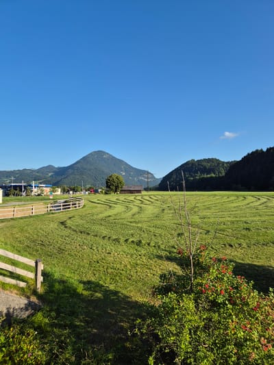 This is a landscape photograph taken in Niederndorf, Austria, on a clear, sunny day. The foreground features a well-maintained green field with distinct swaths of cut grass arranged in a circular pattern. A rustic wooden fence runs along the left side of the field. To the right, a small bush with red berries and a bare-branched tree are visible. In the mid-ground, a traditional wooden barn stands beside a lone tree. Beyond the field, a cluster of buildings, including what appears to be a gas station with a blue and white canopy and several vehicles, are situated near a road. In the background, a large, tree-covered mountain dominates the skyline, with additional smaller, forested hills extending to the right. The sky is a vibrant, cloudless blue. There are no people or animals visible in the scene.